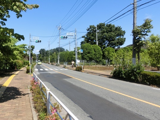 01-107.JPG