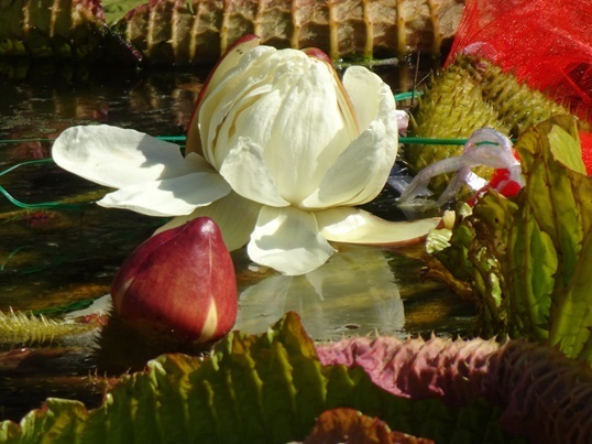 01-107.JPG