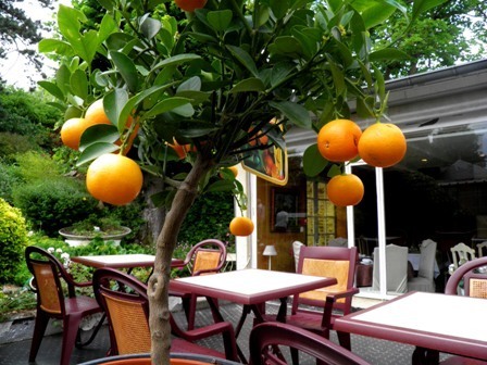 10.06.08-0311  オンフルール　ランチ11.jpg