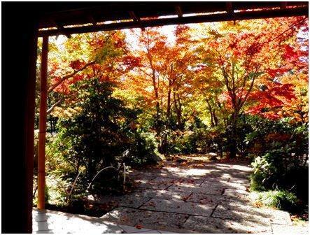 10.11.09-001 日本庭園　清池軒1A.jpg