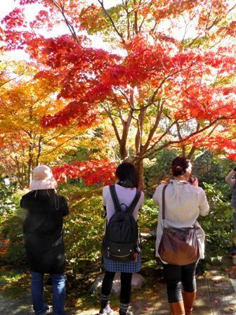 10.11.09-004 日本庭園　清池軒4.jpg