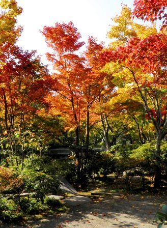10.11.09-007 日本庭園　清池軒7.jpg