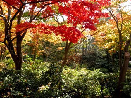 10.11.09-008 日本庭園　清池軒8.jpg