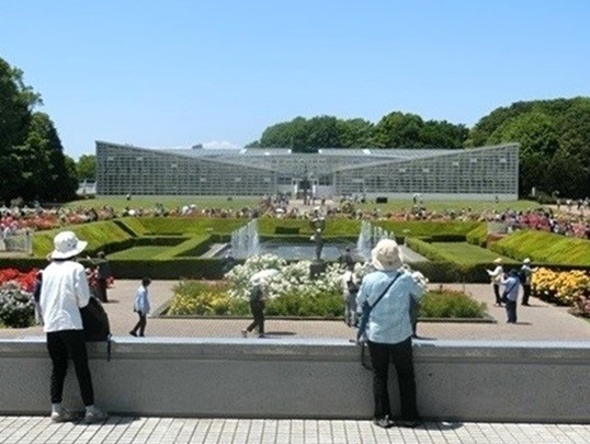 11-104.JPG