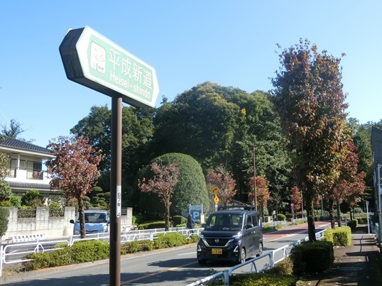 11-111.JPG