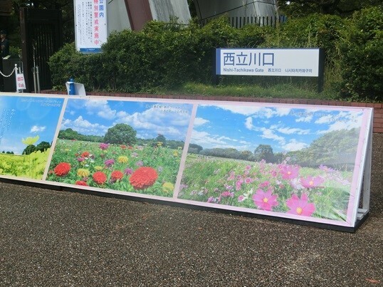 11-114.JPG
