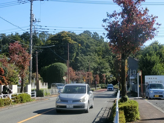11-114.JPG