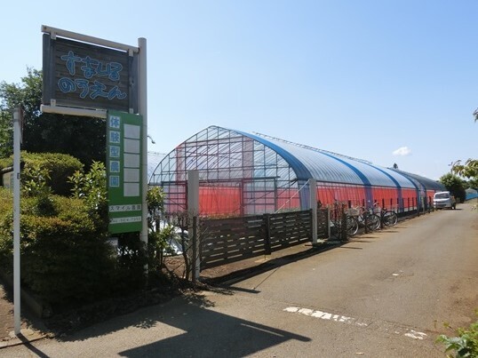 11-117.JPG