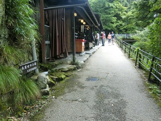 11-129.JPG