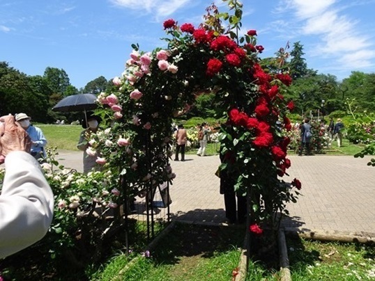 11-135.JPG
