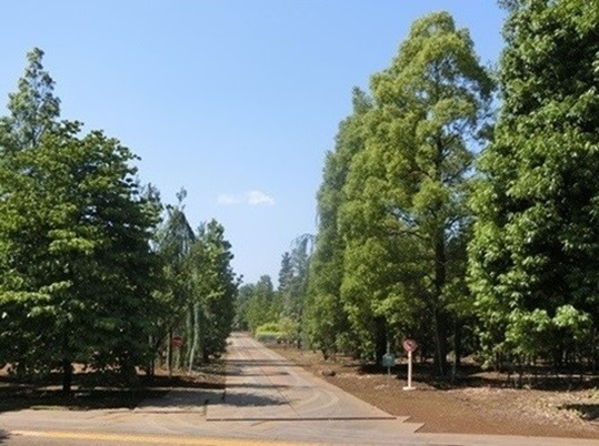 11-141.JPG