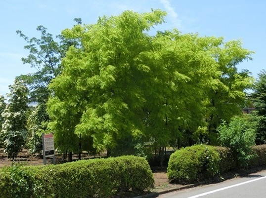 11-159.JPG