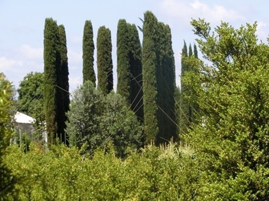 11-171.JPG