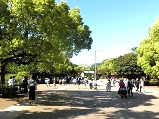 11-281.JPG