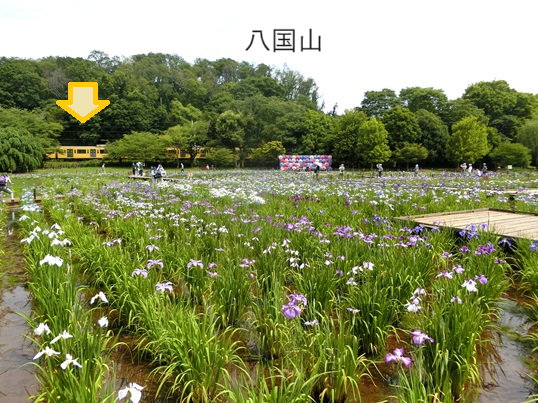 21-104xxx - コピー.png