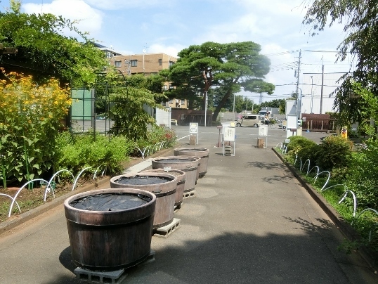 30-104 .jpg