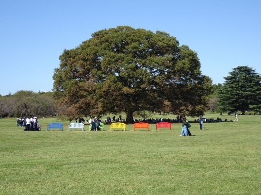 51-101.JPG