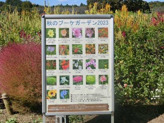 61-191.JPG
