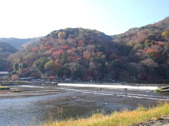 71-114.JPG