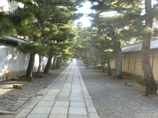 71-144　大庫裏西の路地.JPG