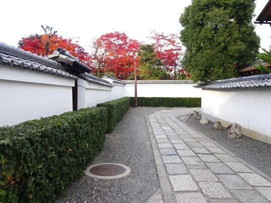 71-197　大雄院前.JPG
