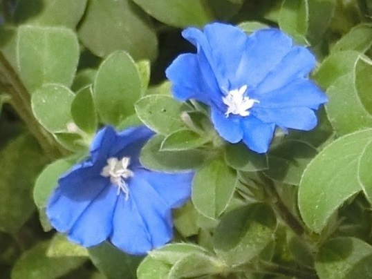 81-414.JPG