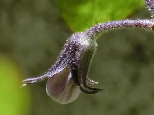 82-117.JPG