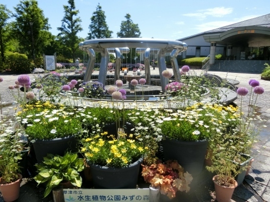 A06-09-21 114.jpg