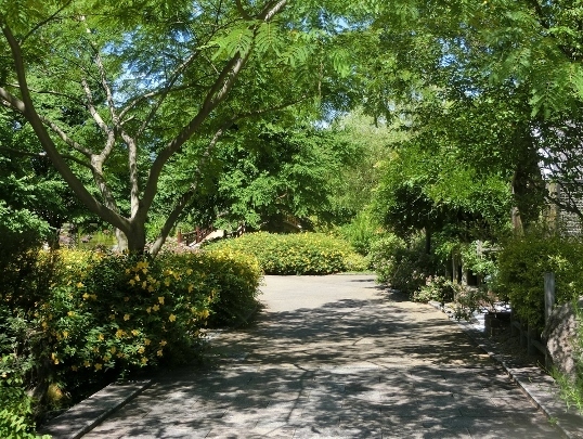 A06-09-21 115.jpg
