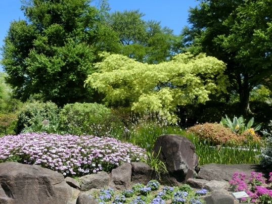 A06-09-21 117.jpg