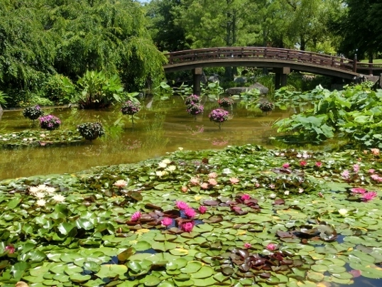 A06-09-21 120.jpg