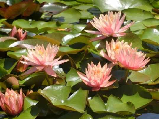 A06-09-21 131.jpg