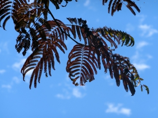 A06-09-21 148.jpg