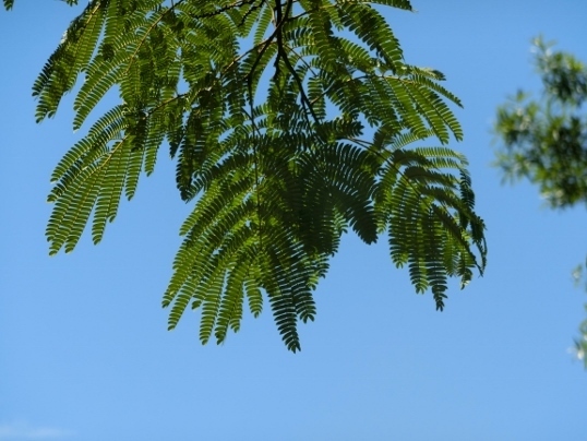 A06-09-21 150.jpg