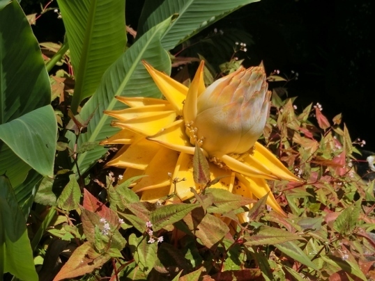 A06-09-21 154.jpg