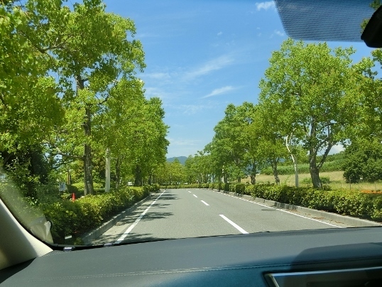 A06-09-21 171.jpg