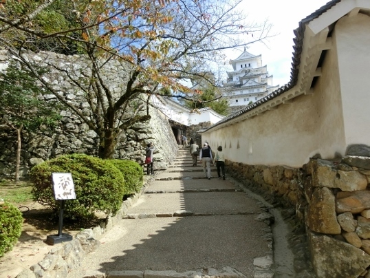 A10-16-31 114.jpg