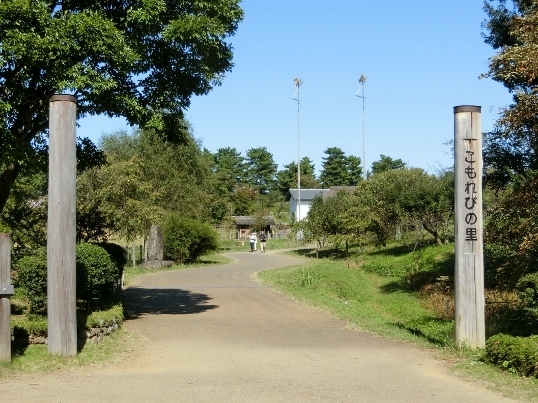 A10-24-71 111.jpg