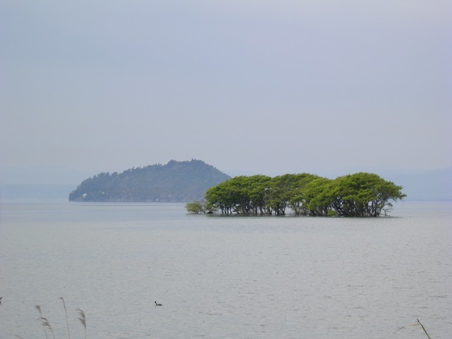 A13.05.11-81  高月81.jpg