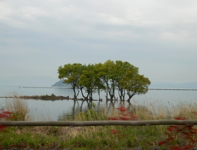 A13.05.11-81  高月83.jpg
