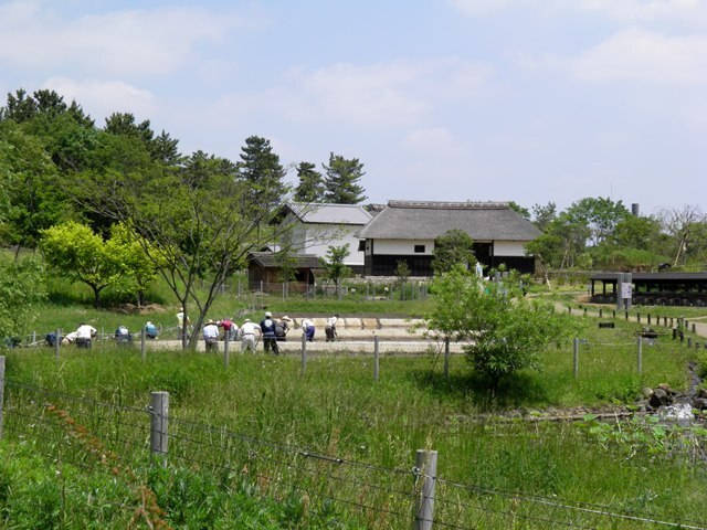 A13.05.18-51 こもれびの里19.jpg