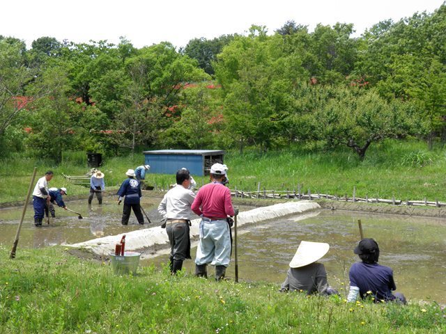 A13.05.18-51 こもれびの里31.jpg