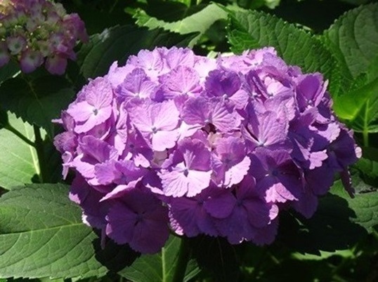 B21  DSC06915 - コピー.JPG