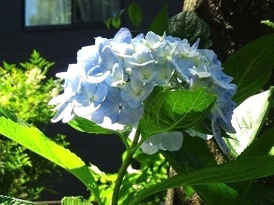 B48  DSC06923 - コピー.JPG
