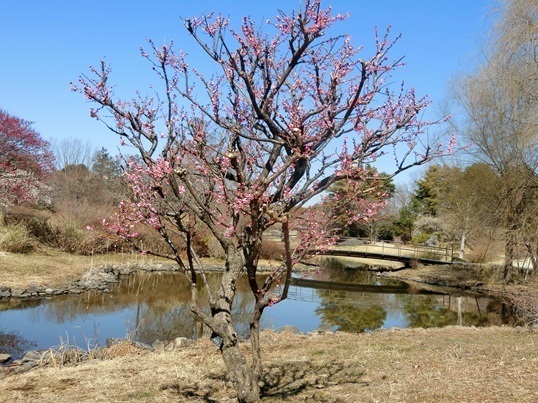 11-117.JPG